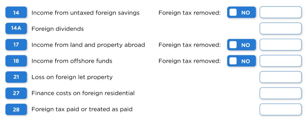 Example: Partnership tax return foreign income fields and relevant details.